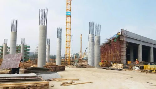 山東日京建材解讀木制圓柱模板行業(yè)發(fā)展趨勢與計(jì)算機(jī)系統(tǒng)服務(wù)的融合